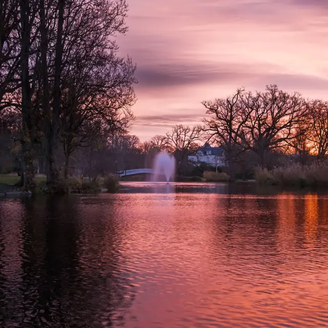 Instagram #levesinet