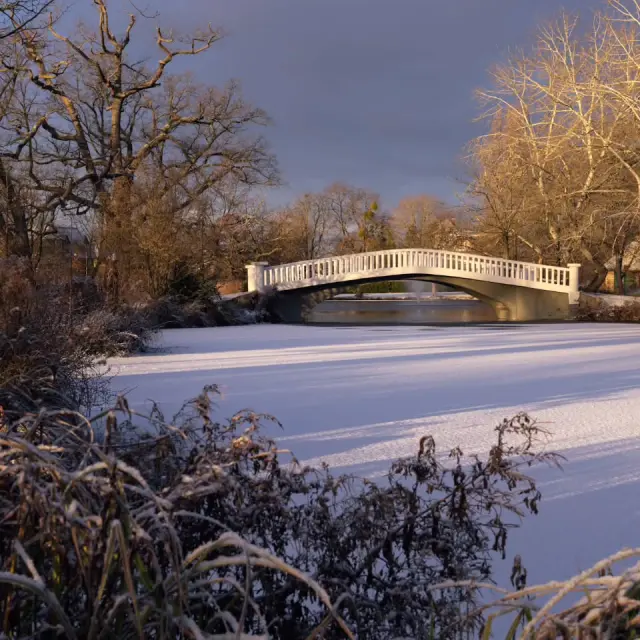 Instagram #levesinet