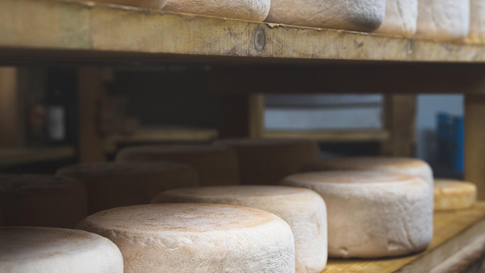 le fromage de la ferme des carlines a une histoire SaintLary Tourisme — free download