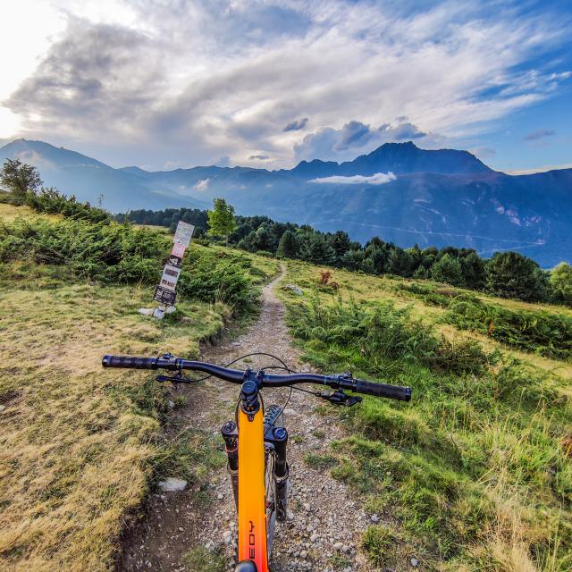 Vtt trail all online mountain