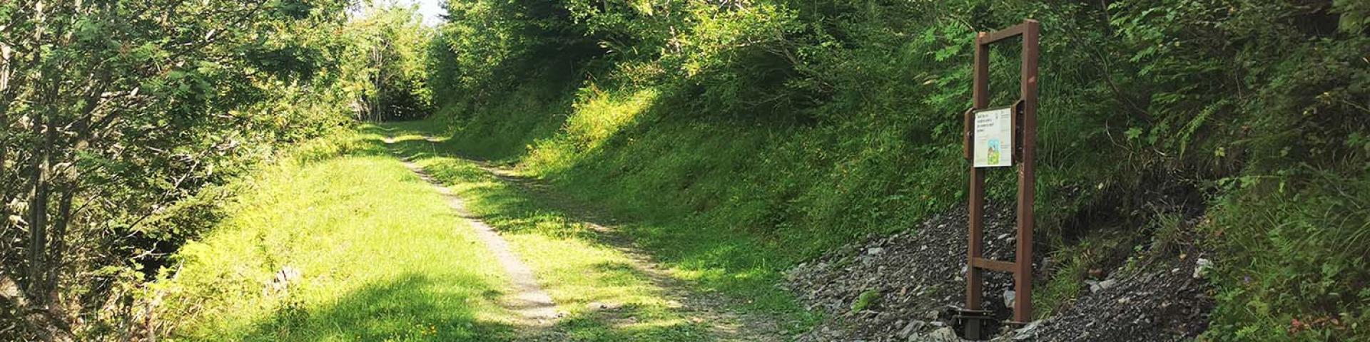 monsieur patou trail ©OTStLARY_totem_IMG001