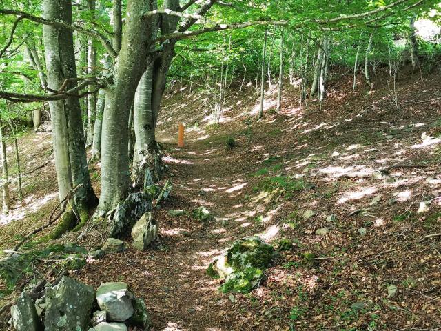 Le-sentier-ENS-1.jpg