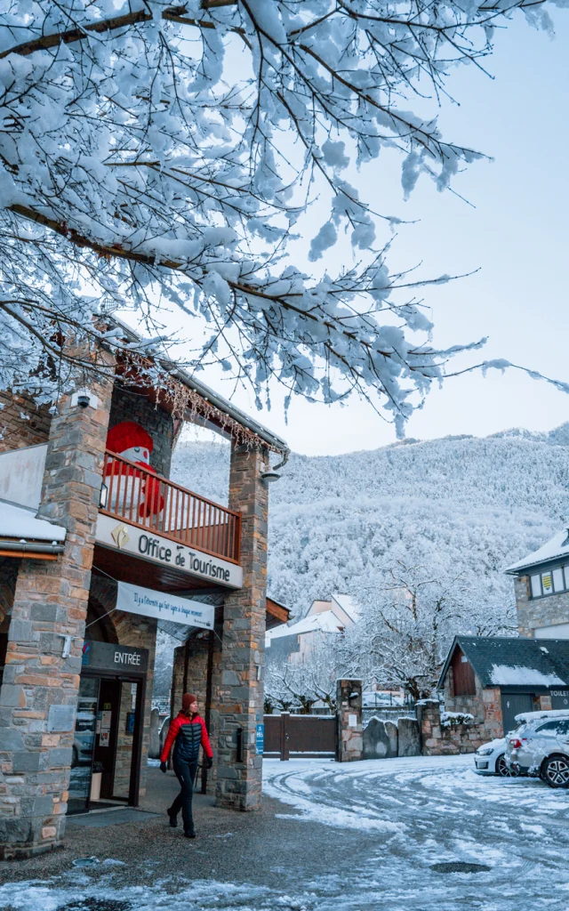 3dogsforcrossing Oficina de Turismo