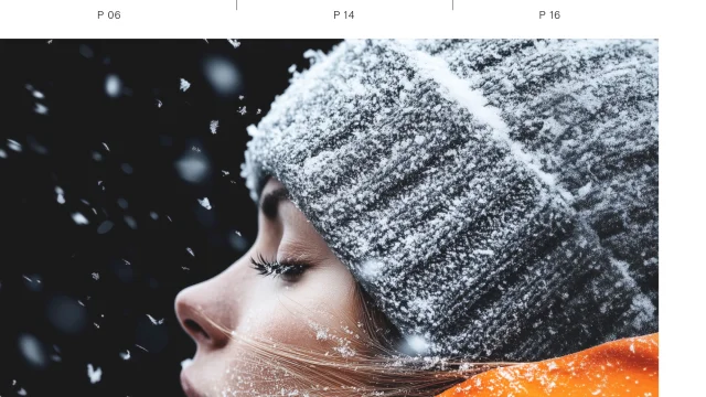 Visu Site Web