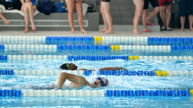 aquaparc-saint-nazaire-carene-martin-launay-12.jpg