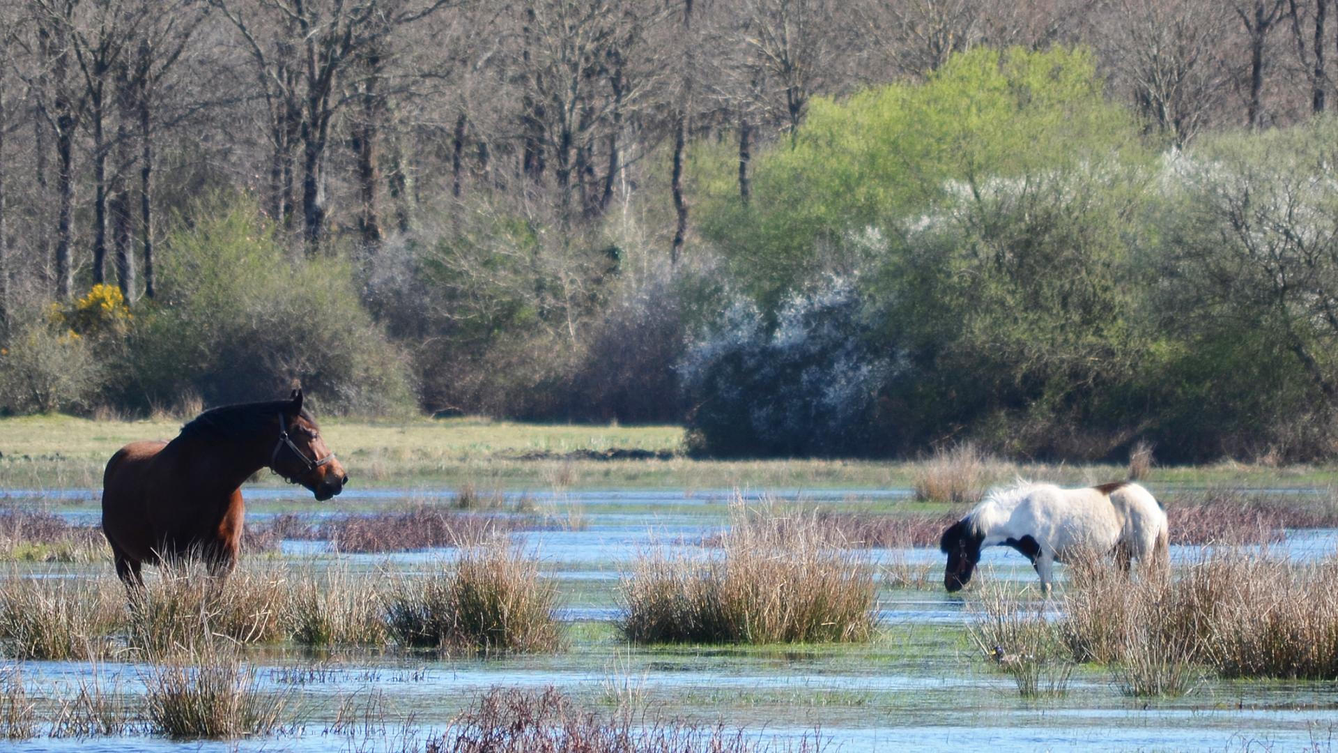 Nature Discovery Tours Stunning SaintNazaire