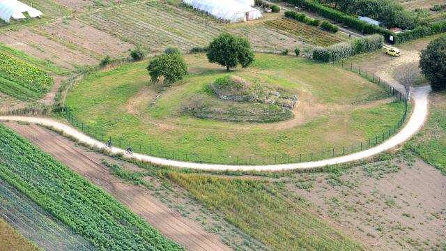 tumulus-de-dissignac-martin-launay-carene-1.jpg