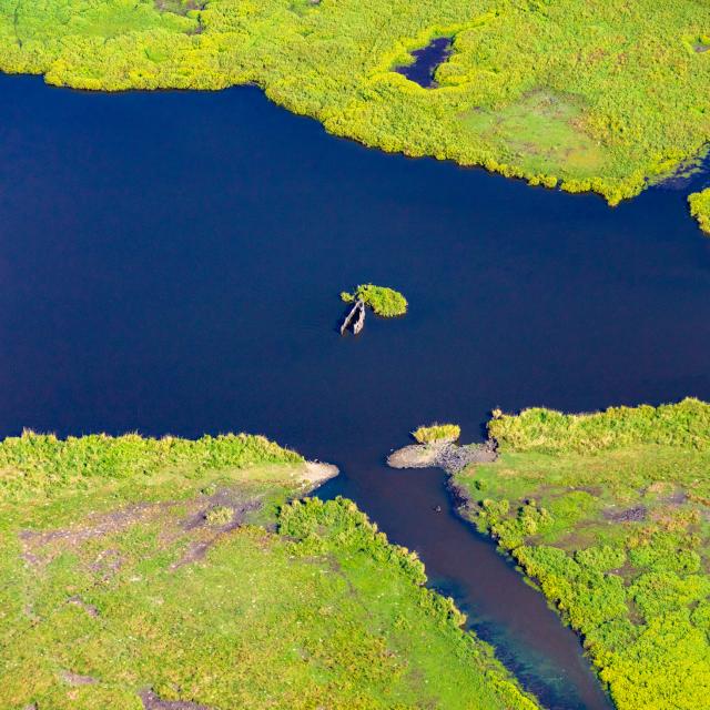 Parc Regional De Briere 9 2019©arnaud Dréan