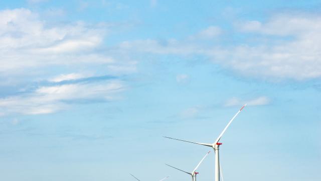 17-05-2022-eolienne-en-mer-maelwenn-leduc-37-.jpg