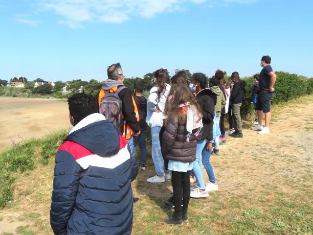 Groupes Scolaires Activités Pédagogiques