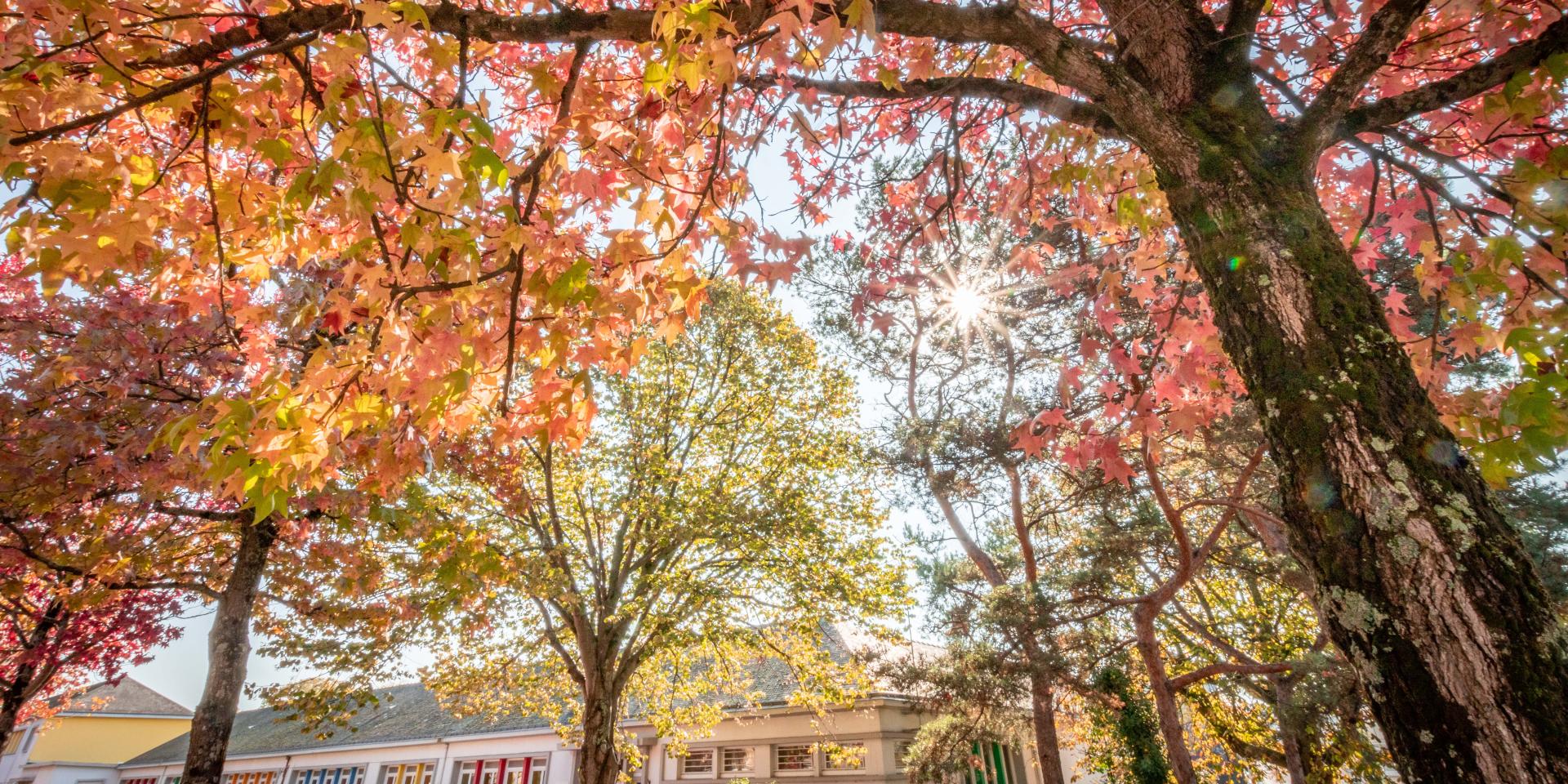 Saint-Nazaire en automne