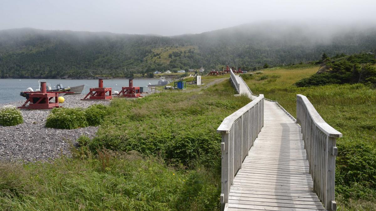 Miquelon Langlade, l’île nature Tourisme SaintPierre et Miquelon