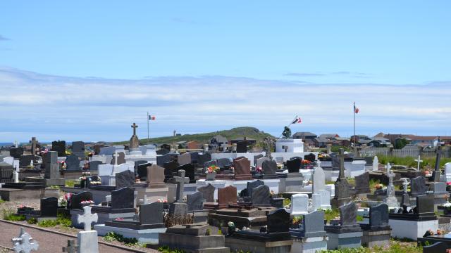 DSC_0367.jpg