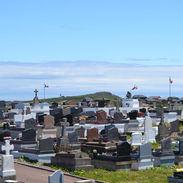 DSC_0367.jpg