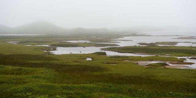 De-la-lagune-aux-dunes-1.jpg