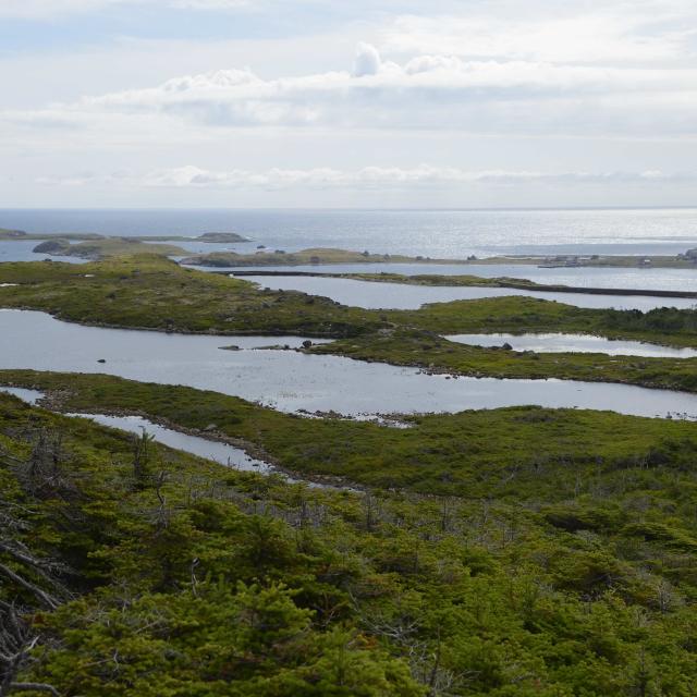 Vallée des 7 étangs 1