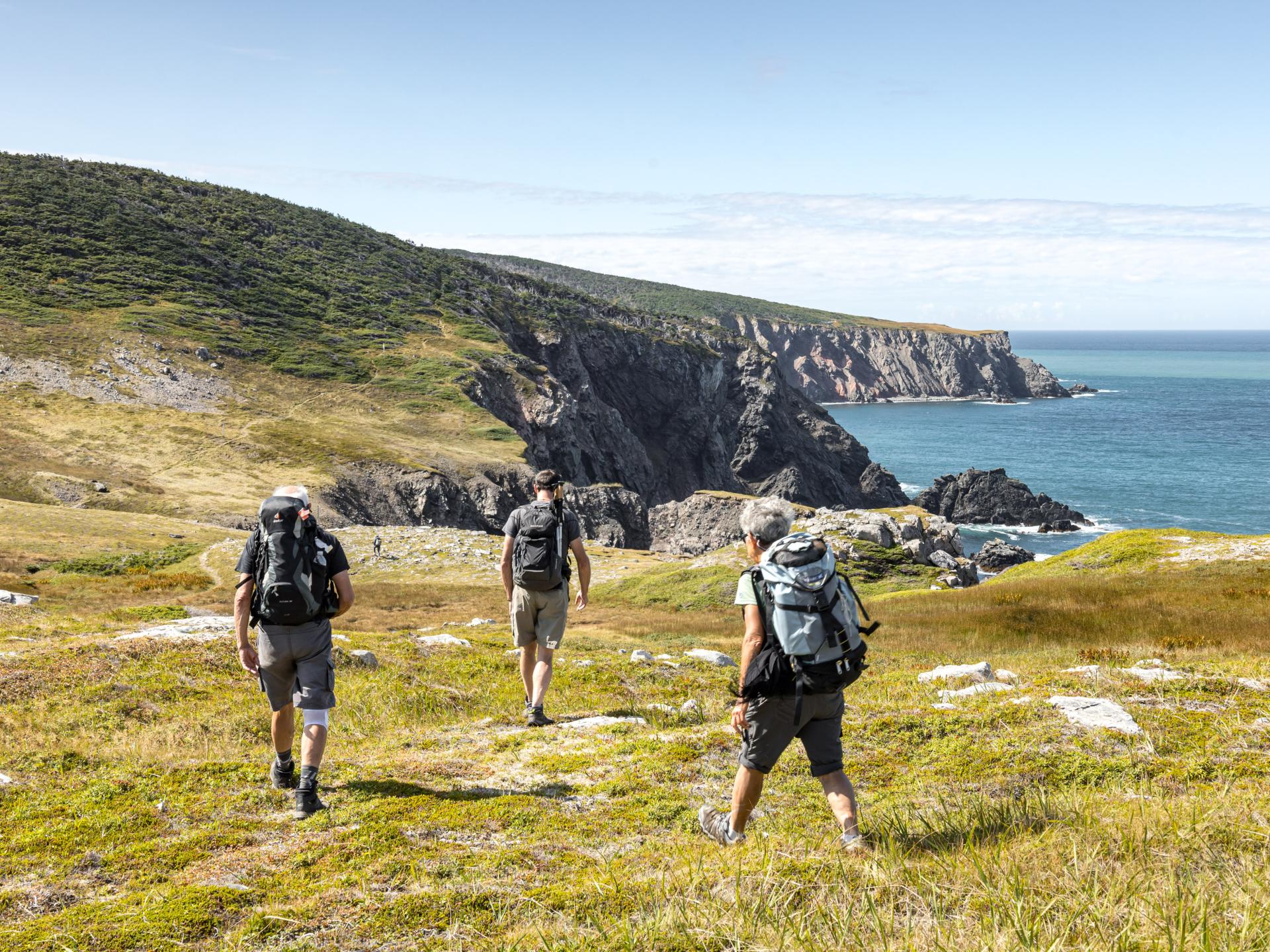 10 plus beaux sites à visiter à SaintPierreetMiquelon Tourisme