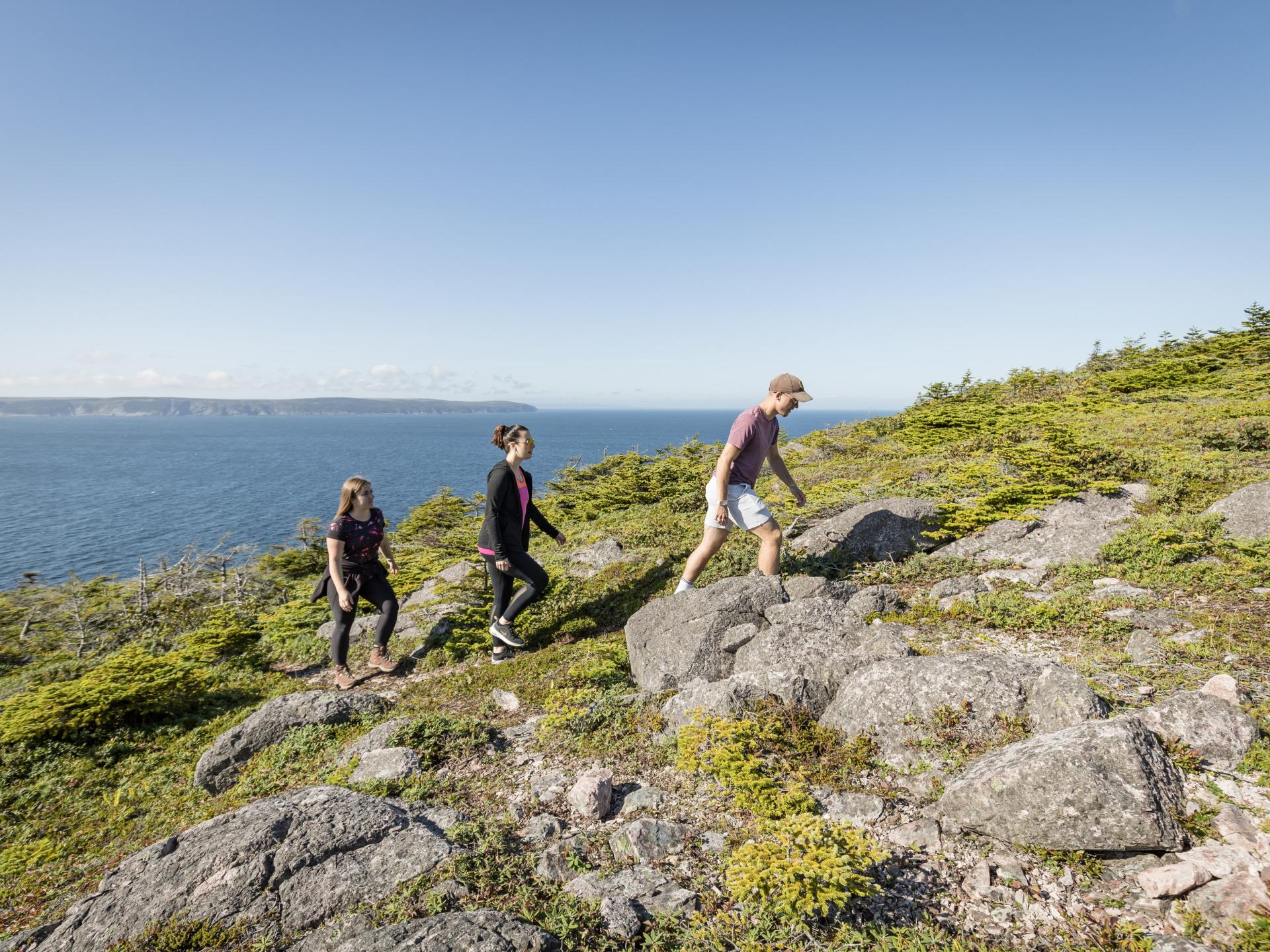 10 plus beaux sites à visiter à SaintPierreetMiquelon Tourisme