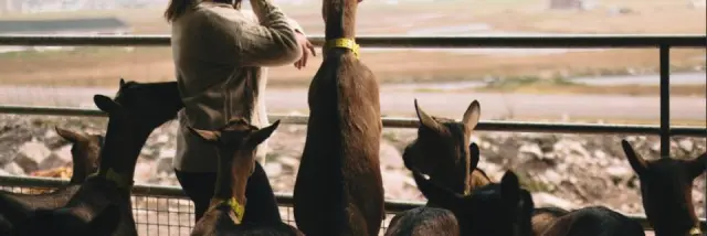 400759232 277762541924725 3344486493600793802 N