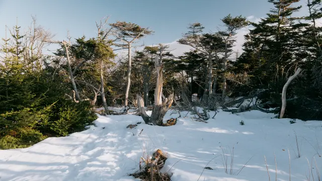 2025 Spm Captainyvon Jeremyjanin 073