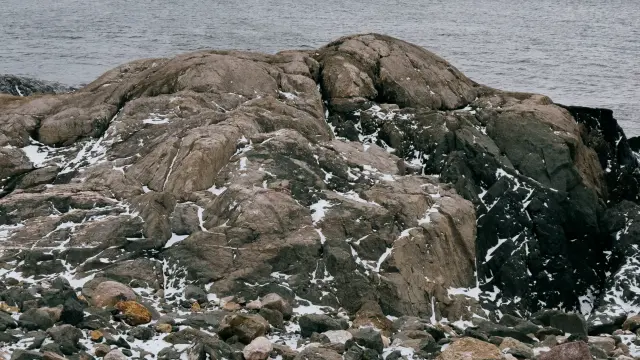 2025 Spm Captainyvon Jeremyjanin 108