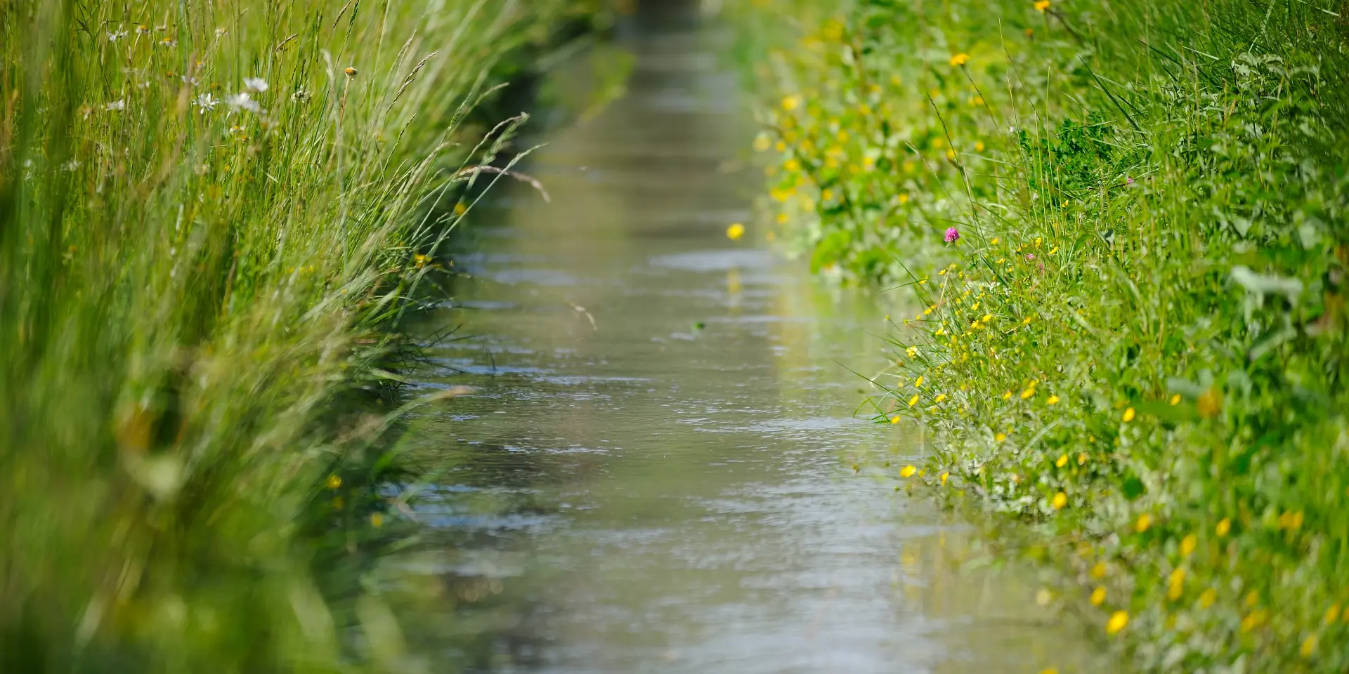 Chemin de terre à travers la plaine de la Crau.
www.ericfabrer.fr - contact@ericfabrer.fr - + 33 6 62 36 20 91 - Haute définition sur demande.