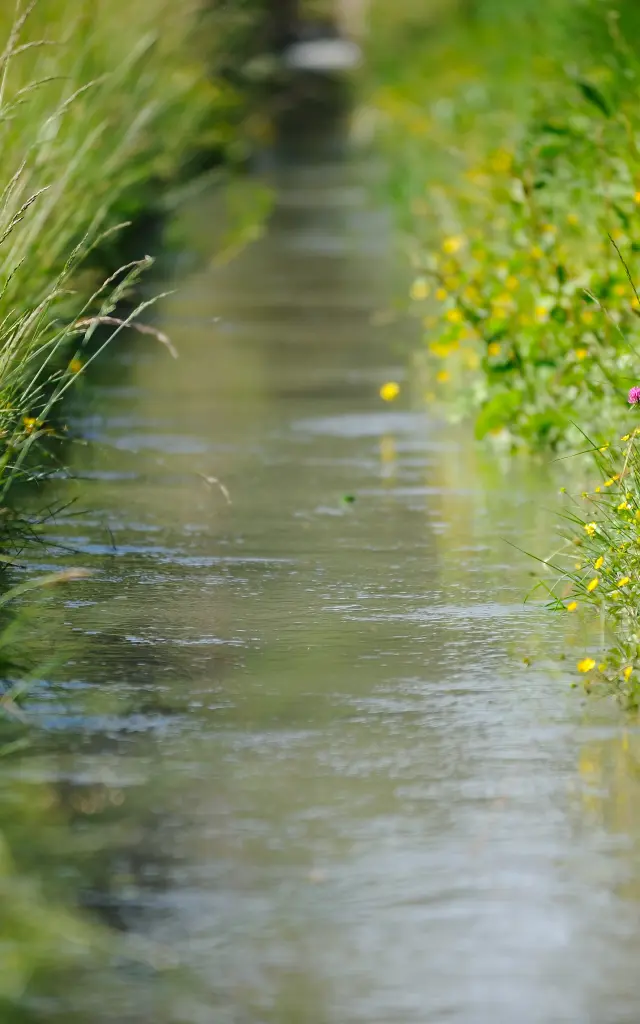 Chemin de terre à travers la plaine de la Crau.
www.ericfabrer.fr - contact@ericfabrer.fr - + 33 6 62 36 20 91 - Haute définition sur demande.