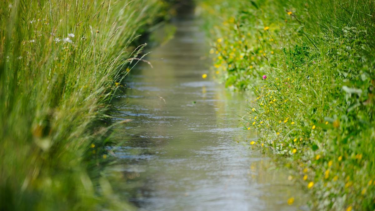 Le foin de Crau | Office de Tourisme de Salon de Provence