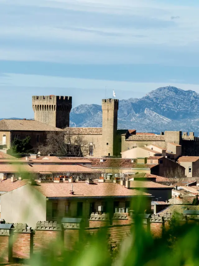 Dsc 0010 Modifié 1