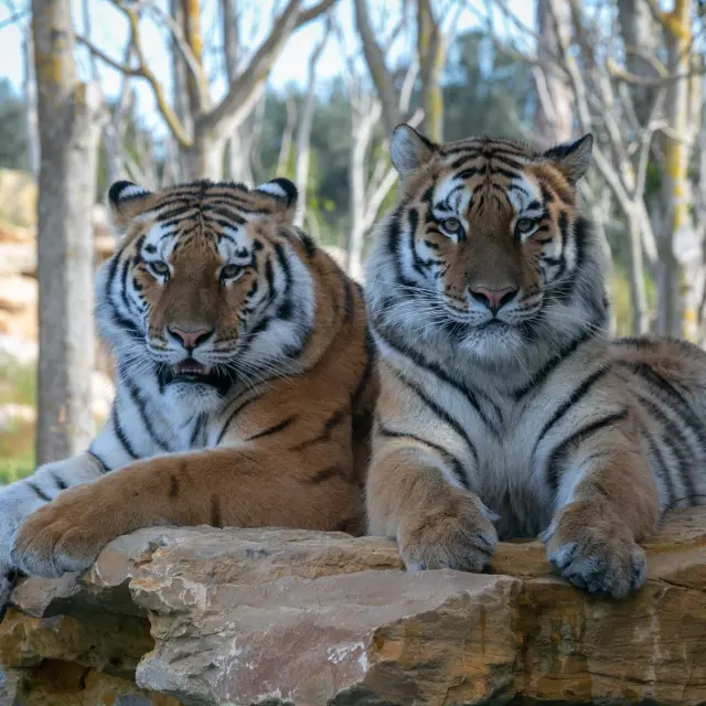 134653563 3787243404688058 3845499159049343744 N