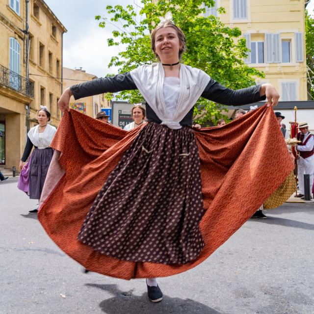 La Transhumance
