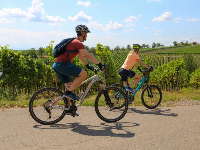 Symbolbild: Junges Paar bei einer Fahrradtour in den Weinbergen, hier in der Pfalz nähe Neustadt an der Weinstraße (Model released)