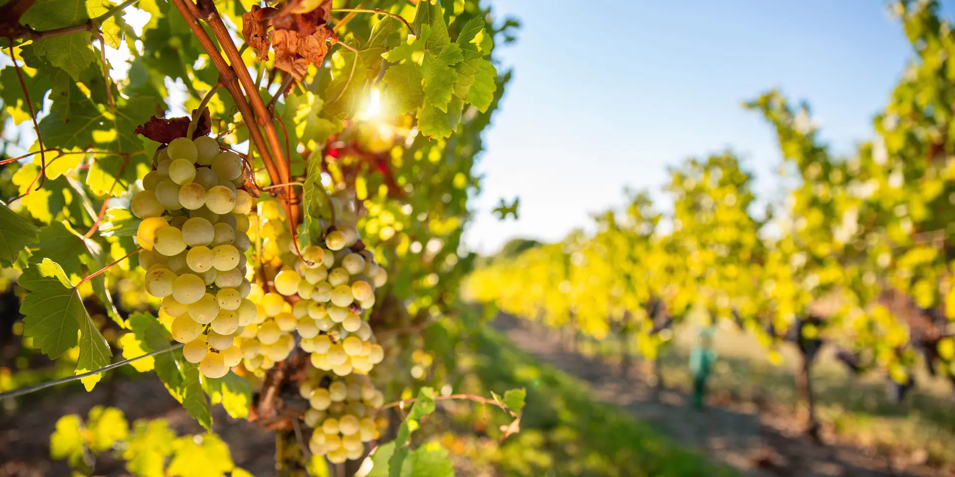 Adobestock 403179288