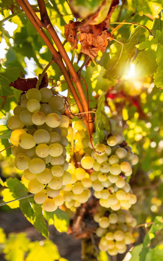 Adobestock 403179288