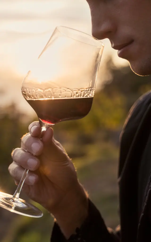 tasting red wine in a vineyard