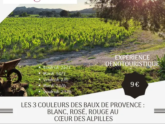 Affiche Offre Oenotouristique Dates