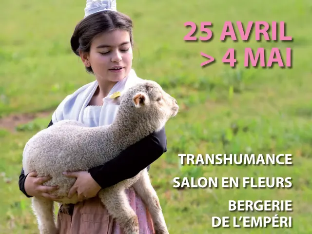 Prog Semaine Provencale 0 1