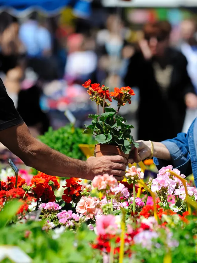 Marché aux fleurs. www.ericfabrer.fr - contact@ericfabrer.fr - + 33 6 62 36 20 91 - Haute définition sur demande.