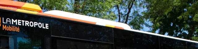 Mamp 008294 1950x300 Min