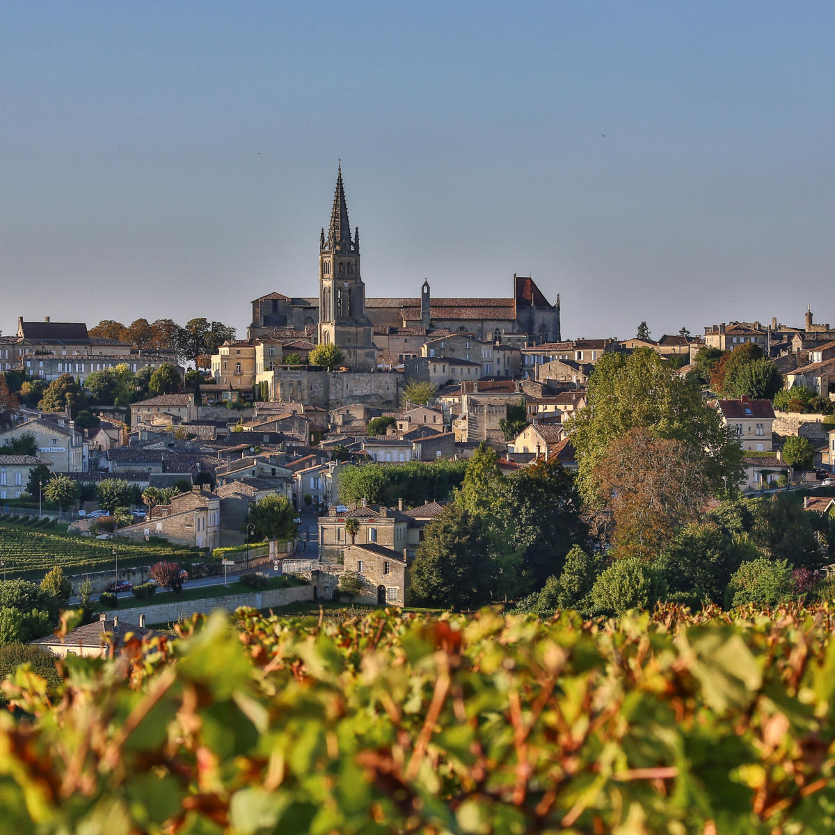 Périgueux, capitale de la Dordogne et du Périgord blanc | Sarlat ...