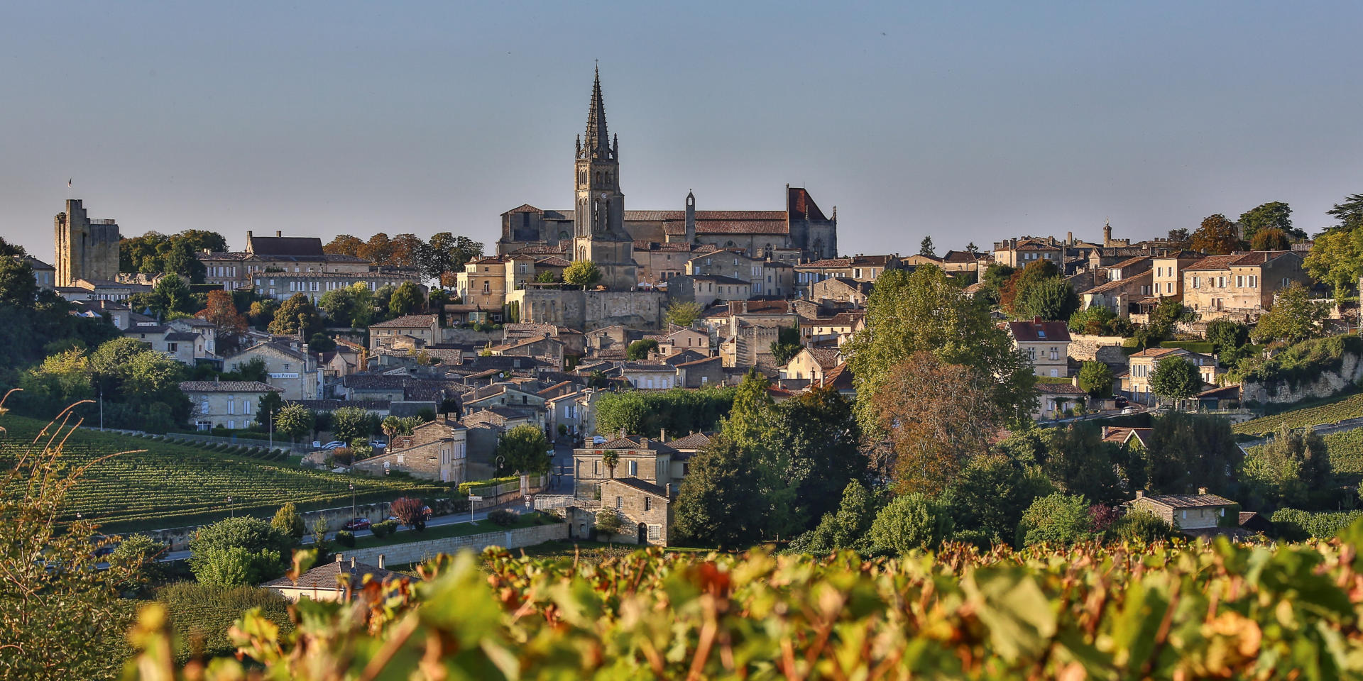 Saint-Emilion ses vins et ses vignobles