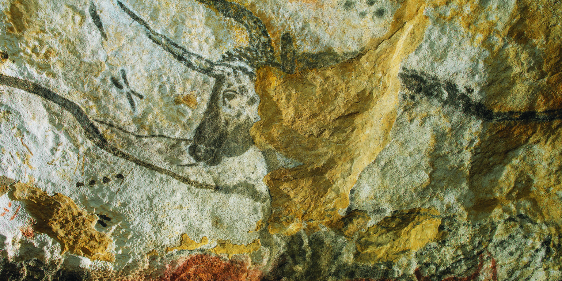 Cro Magnon Cave Art