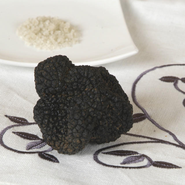 Truffe noire du Périgord