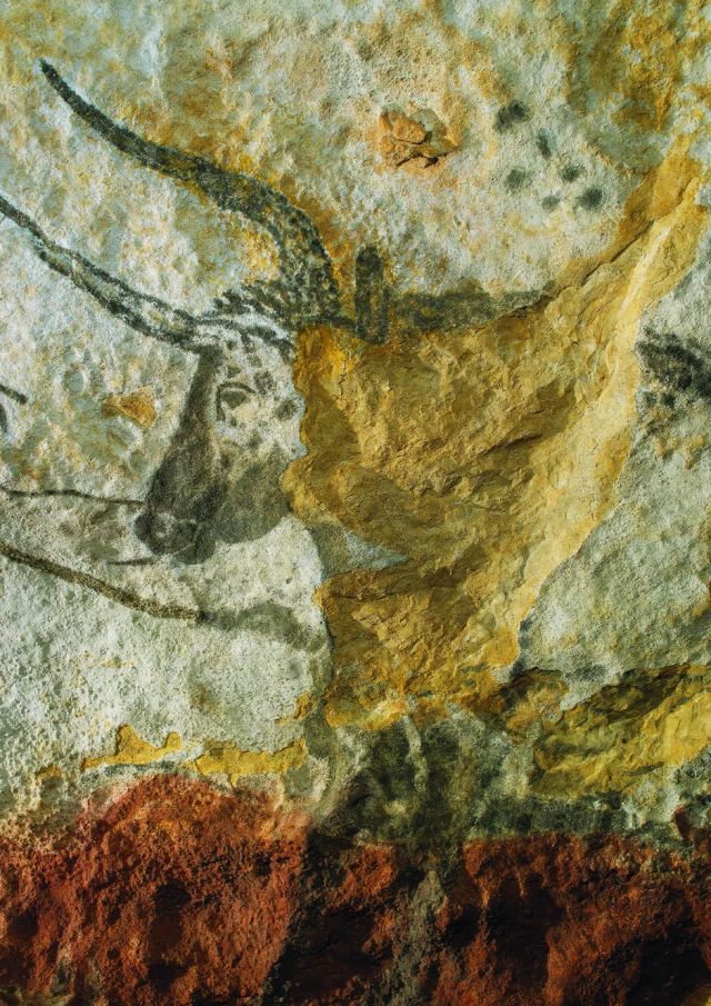 Le Taureau de Lascaux