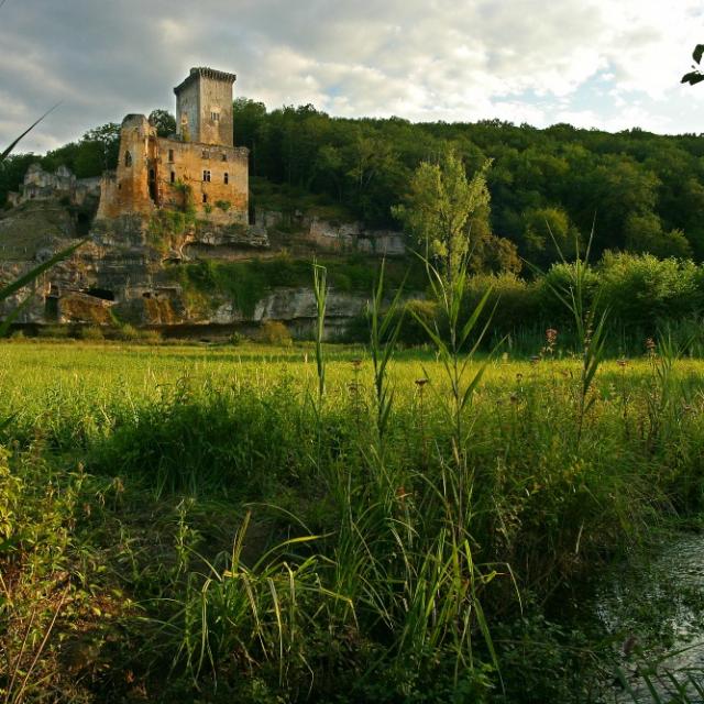 commarque-3.jpg