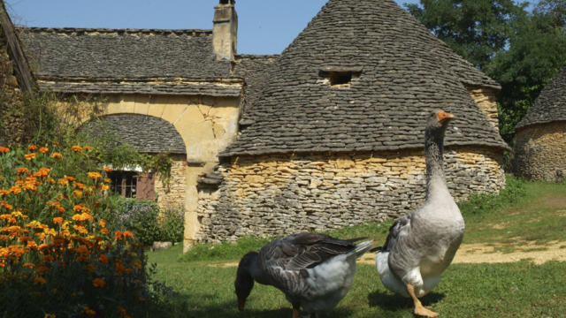 Les Cabanes du Breuil, entre Sarlat et les Eyzies