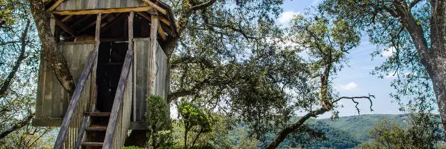 Hébergements insolites - cabanes dans les arbres