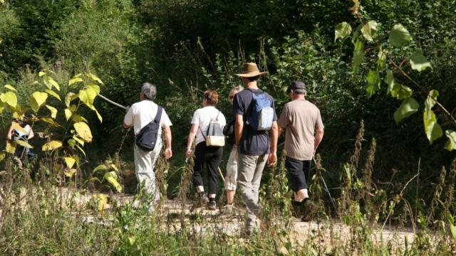 Randonnée autour de Turenne