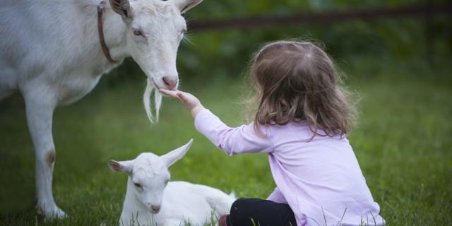 Enfant et animaux en Périgord Noir
