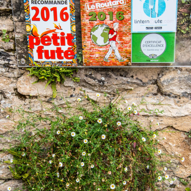 Visite découverte de Beynac